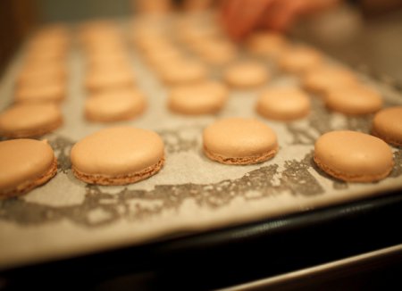 �������� ��� ��������. ������� ����!