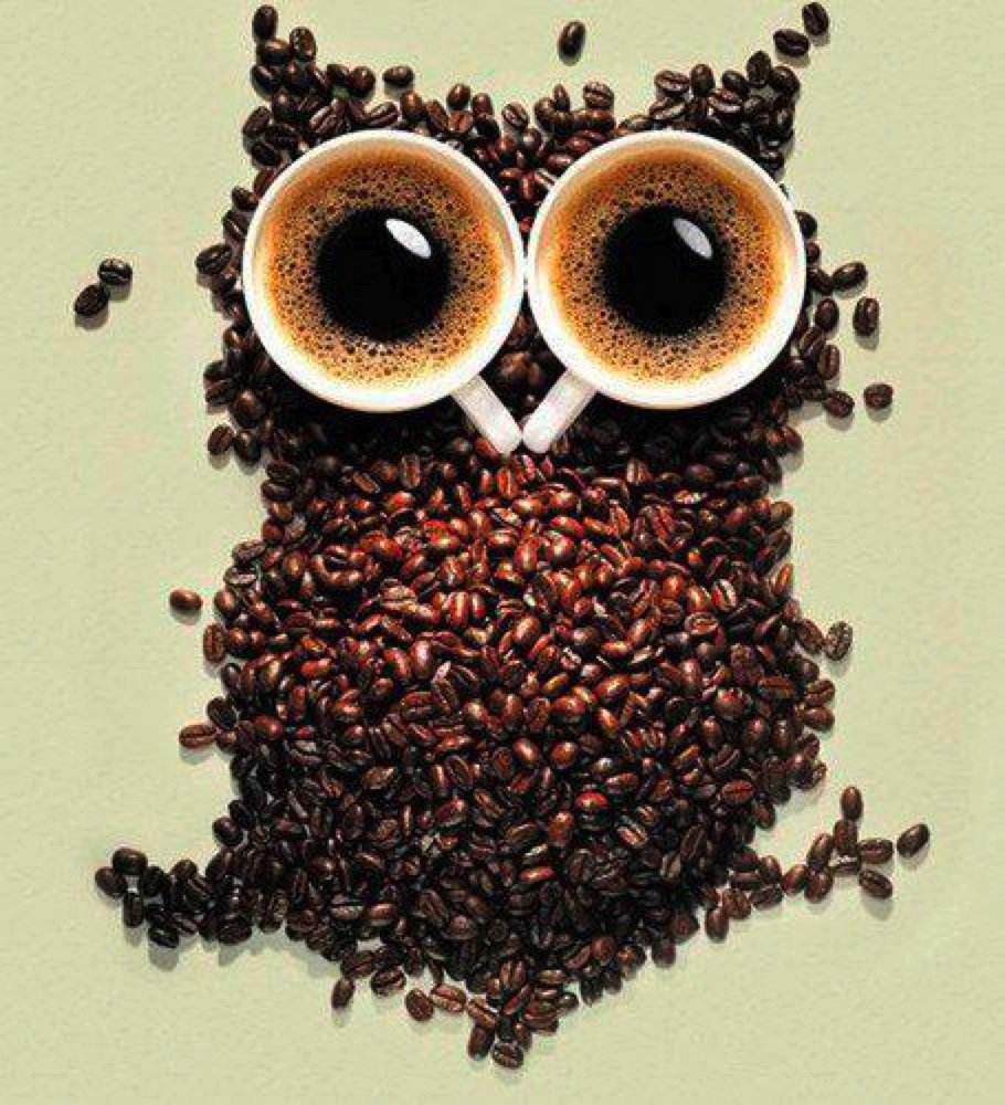 ����� ������� ������ ����������� ����