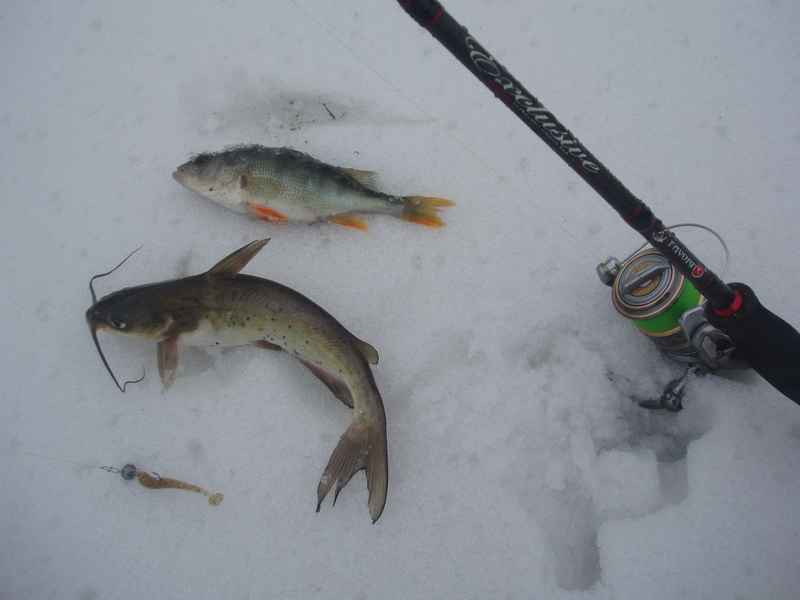 Рыбалка в новочеркасске сегодня. Рыбалка в Новочеркасске.