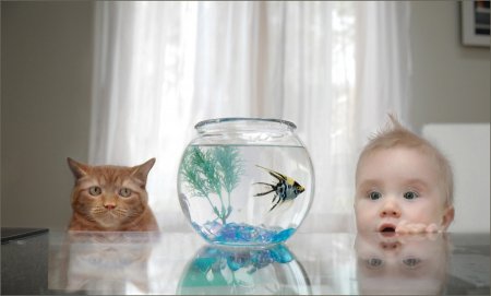 �������� � ����