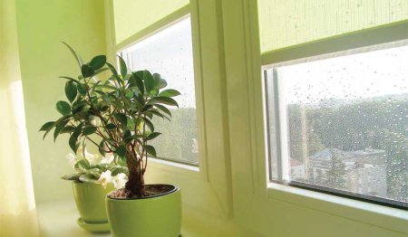 ����� �������� ������ ������� ����