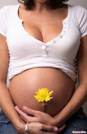 ����������� ����������� ������������