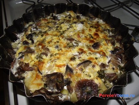 �������� � ������� � ��������