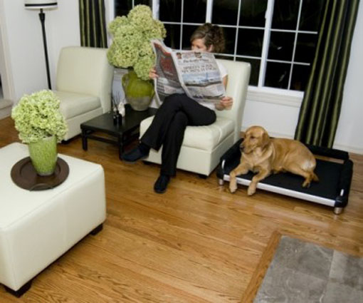 ������ �������� ��������