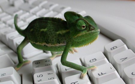 ������ �������� ��������