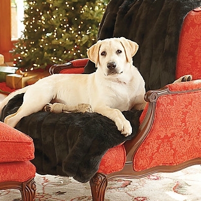 ��� ��������� �� �������