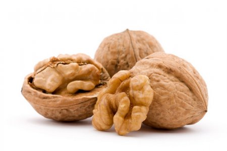 � ������ ������