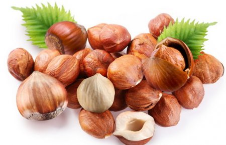 � ������ ������