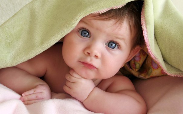 ���� ����� ��������� ����