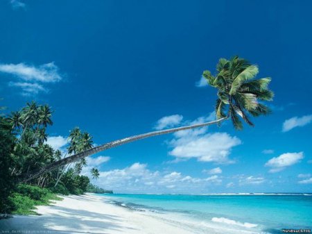 ���� ����� ����� ����� �������� �� ����