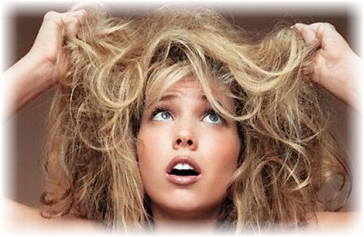 ��� ��������� �� ������ ��������