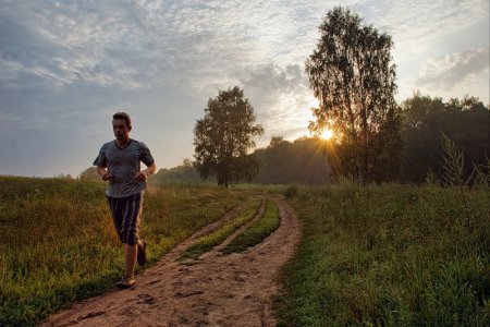 ��� ��������� ���� ������ �� �����