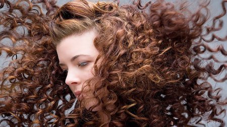 ���� �� �������� ����� �����