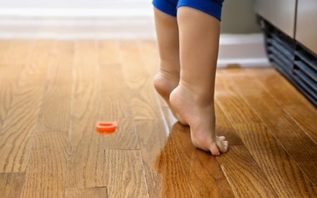 ������ ������� ����� �� ��������