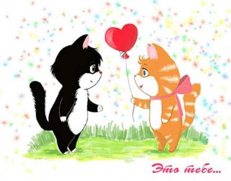 �������� (��������) � ���� �������� ��������