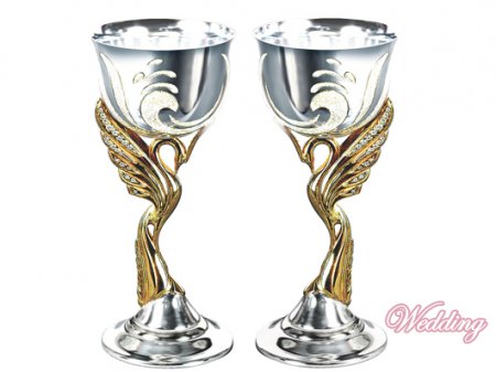 ��� ���������� � ���������� ��������