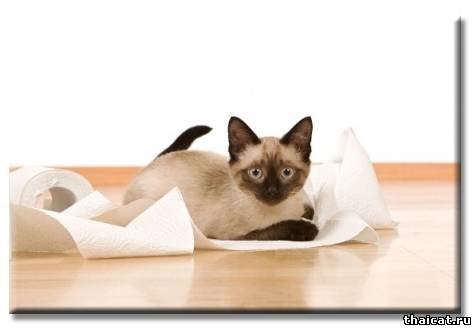 ��� ���������� �� ��������� ������ � ��������