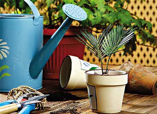 ���� �� ���������� ���������� �����