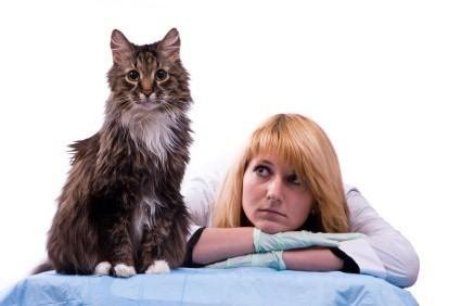 ���� �������� �����