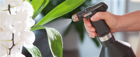 ���� �� ���������� ���������� �����