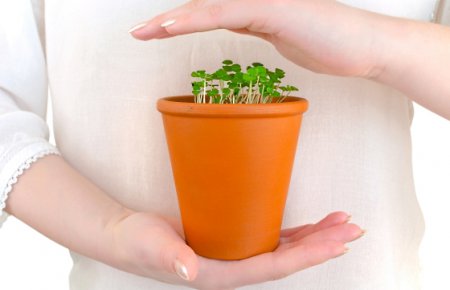 ���� �� ���������� ���������� �����