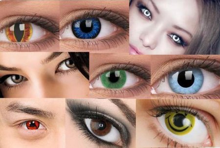 ������ ������� ���������� �����