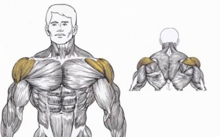 ��� �������� ����� ����