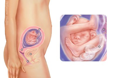 �������� ����� �� 19 ������ ������������