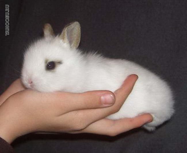 ���� �� ��������� ���������