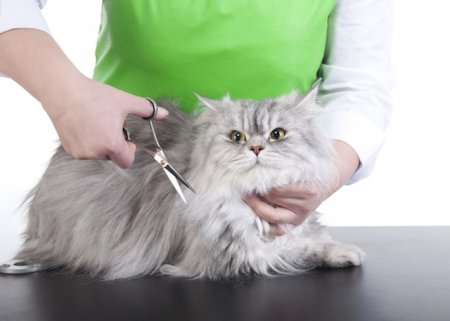 ���� �� ��������� ���������