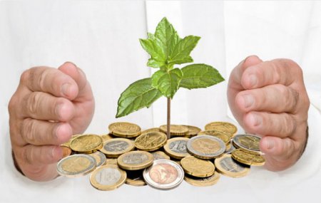 ��� ���������� ����