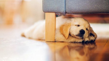 ����� ����� ������� ������