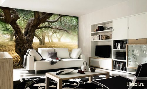 �������� � ��������� ��������