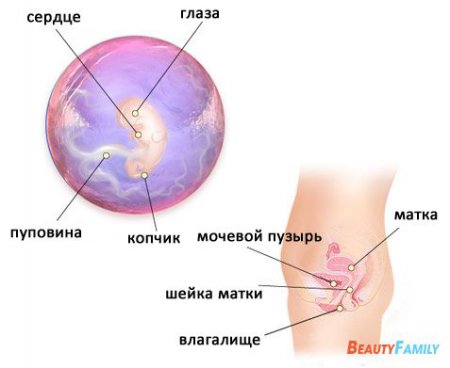 ������� 7 ������ ������������