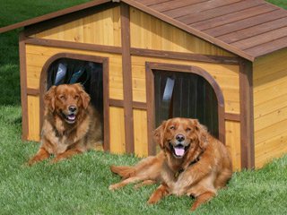 ���������� ���� �����