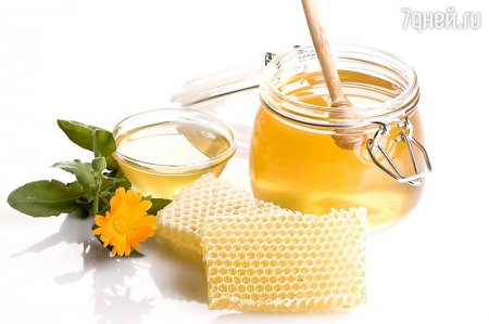 ��� ������ ������