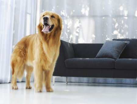 ���������� ���� �����