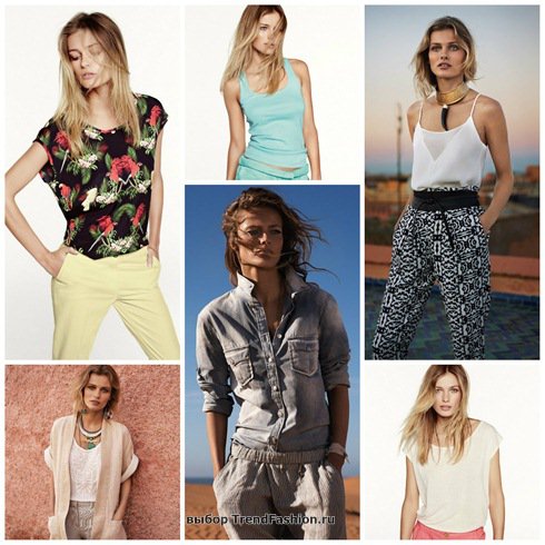 ������ ����� ���� 2014