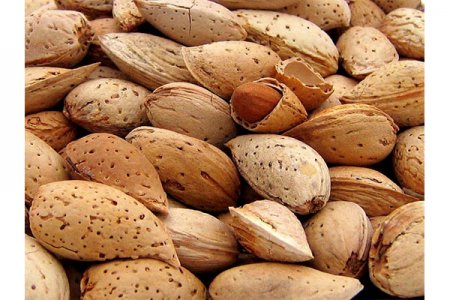 ��� ������� �������