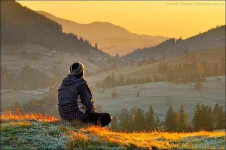 ��� ����� ����������������