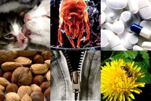 �������� ������� �������������