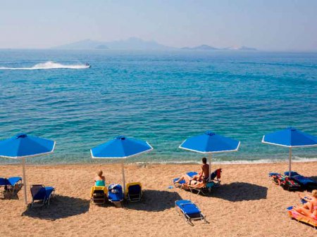 ������ ���� ������� ��������