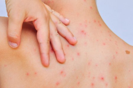 �������� �������� � �������