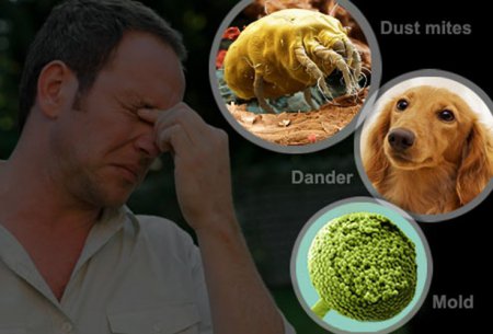 �������� ������� �������������