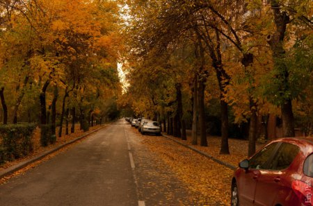 ��� ����� ������ ������