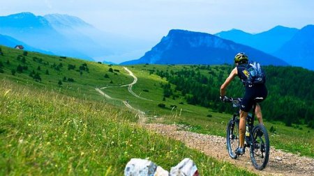 ������ �����������