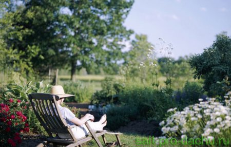 ��� ���� ����� ����