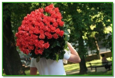 ������ ����� ��� �������