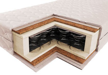 ���� ��������