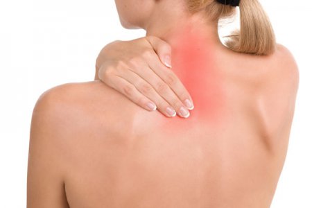 ������ ����� ����� ��� ������